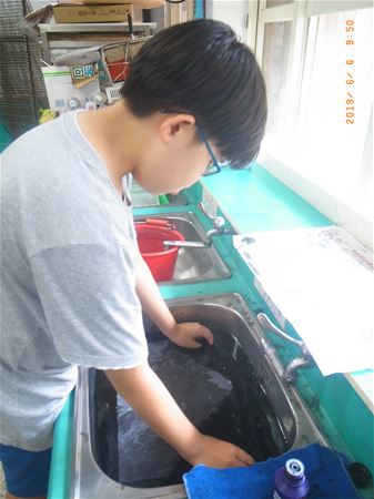放大圖：