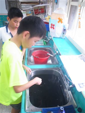 放大圖：
