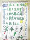 縮圖：