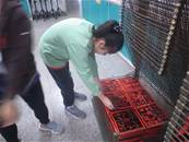縮圖：