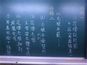 縮圖：