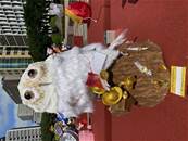 縮圖：