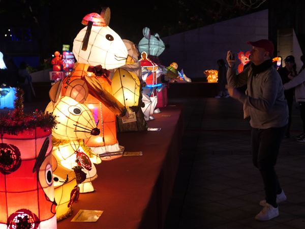 放大圖：