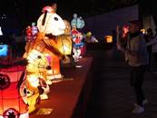 縮圖：