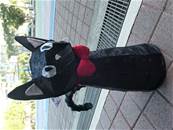 縮圖：
