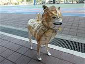 縮圖：
