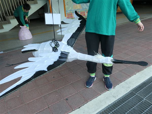 放大圖：