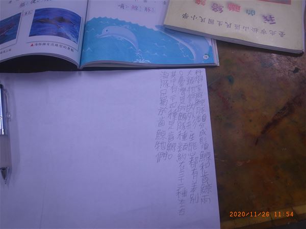放大圖：