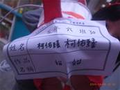 縮圖：