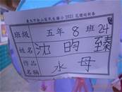 縮圖：