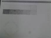縮圖：