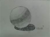 縮圖：