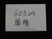 縮圖：