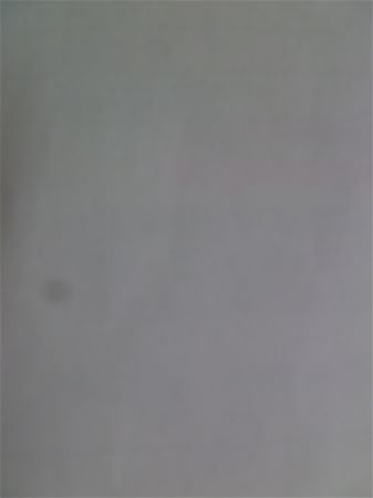 放大圖：21公假