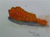 縮圖：