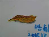 縮圖：