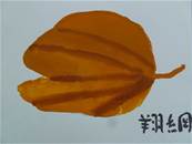 縮圖：