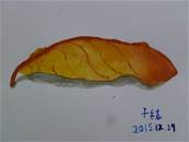 縮圖：