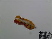 縮圖：