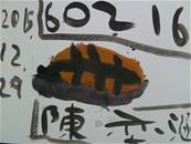 縮圖：
