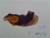 縮圖：