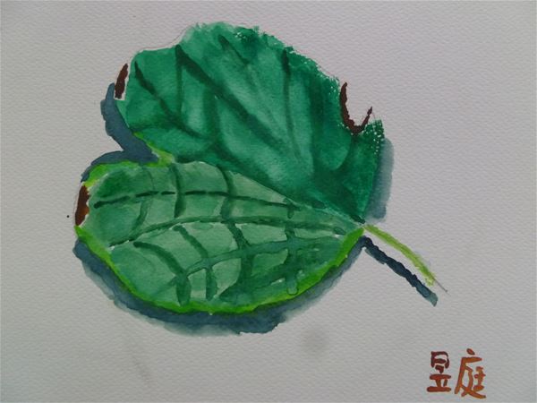 放大圖：