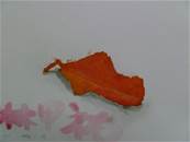 縮圖：