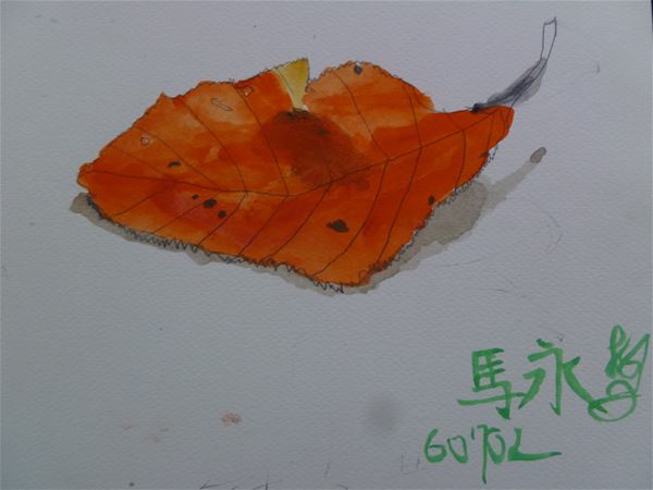放大圖：