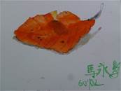 縮圖：