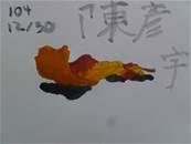 縮圖：