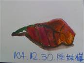 縮圖：