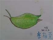 縮圖：