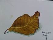 縮圖：