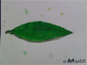 縮圖：