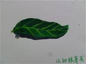 縮圖：