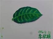 縮圖：