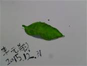 縮圖：