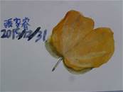 縮圖：
