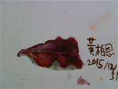 縮圖：