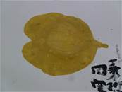 縮圖：