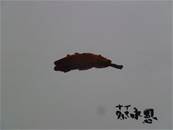 縮圖：