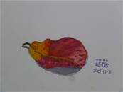 縮圖：