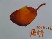 縮圖：