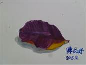縮圖：