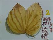 縮圖：