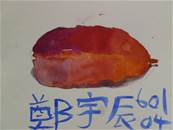 縮圖：