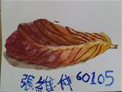 縮圖：