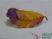 縮圖：