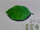 縮圖：