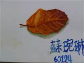 縮圖：